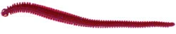 Berkley Gulp! Alive Nereis 15cm - Seeringelwurm - 28 Stück