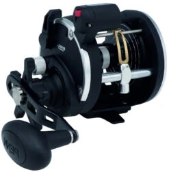 PENN RIVAL LEVEL WIND Rechtshand 10 PENN RIVAL LEVEL WIND Rechtshand -Angeln Serie 1404003E9U7dhlj0JfYg 1280x1280