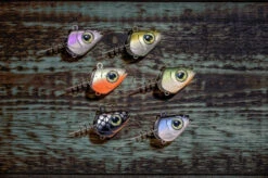 QUANTUM Pelagic Head With Screw - Jigkopf Mit Schraube -Angeln Serie 3457002 6 769059 1280x1280