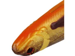 Westin SHADTEEZ Slim 18cm - 27cm - Blister 11 Westin SHADTEEZ Slim 18cm - 27cm - Blister -Angeln Serie p165 x3 large 772879 1280x1280